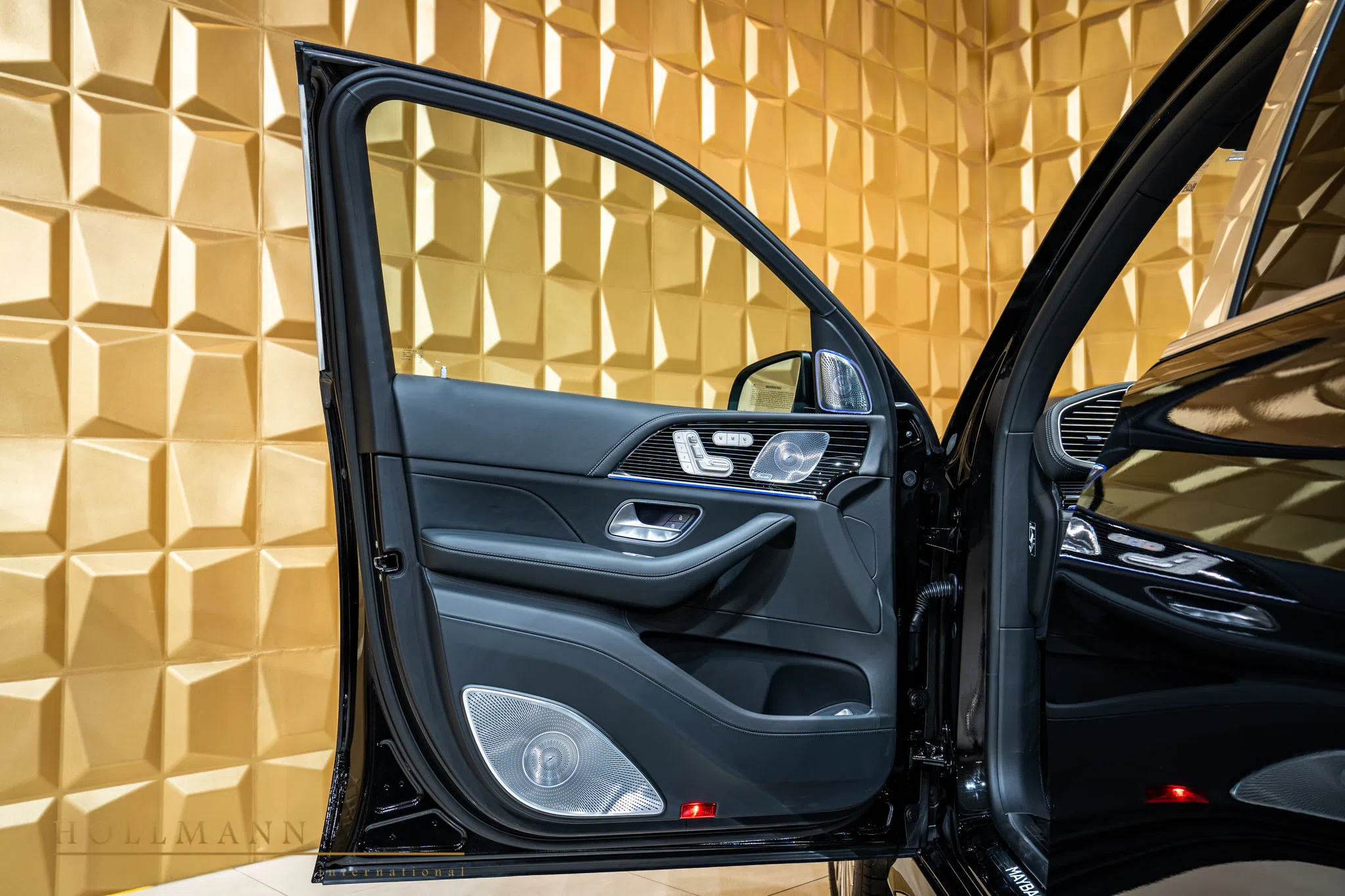 2021 Mercedes-Maybach GLS 600 interior, door panel, Leather Black