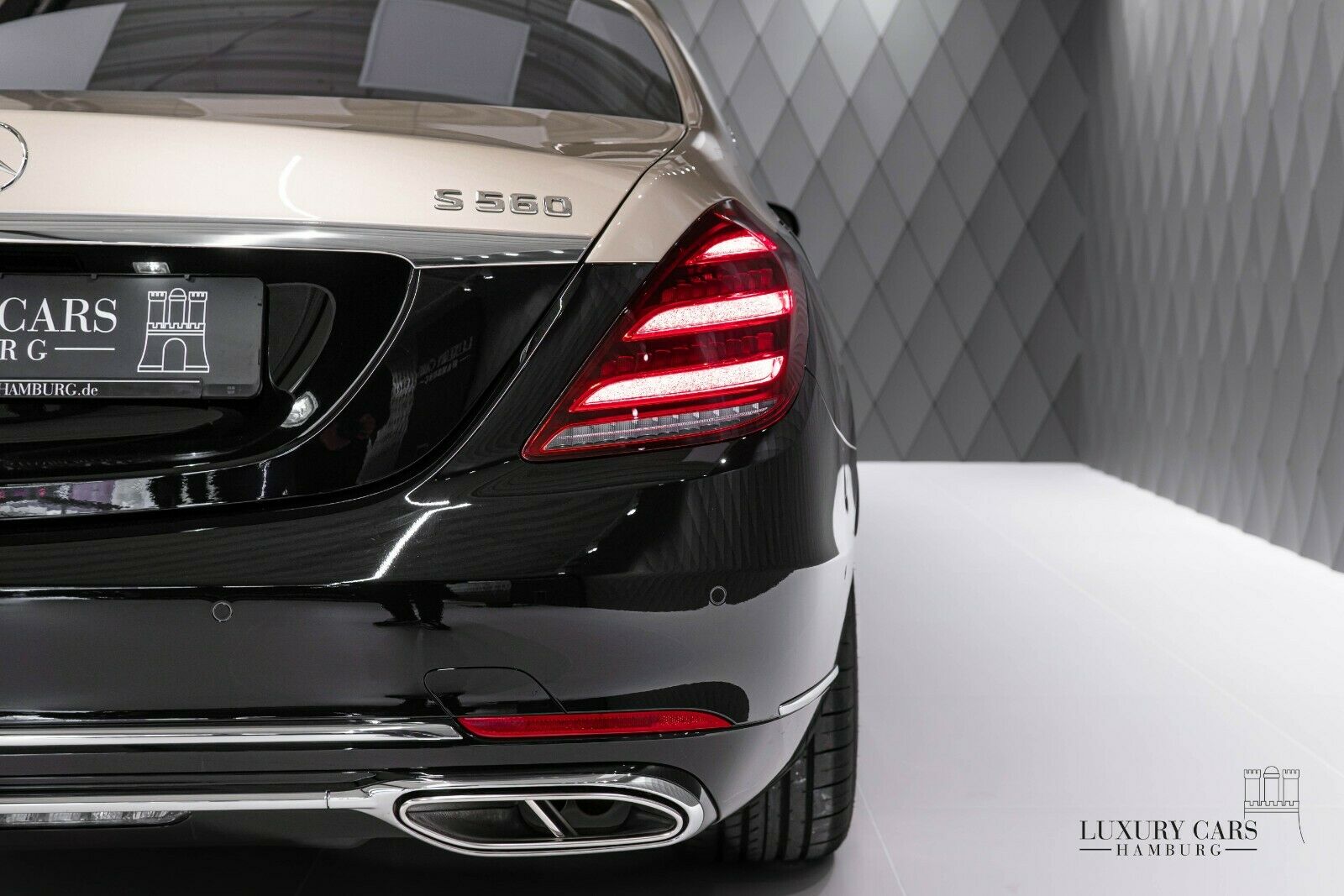 2020 Mercedes-Maybach S 560 2020 DUO TONE, 18/32