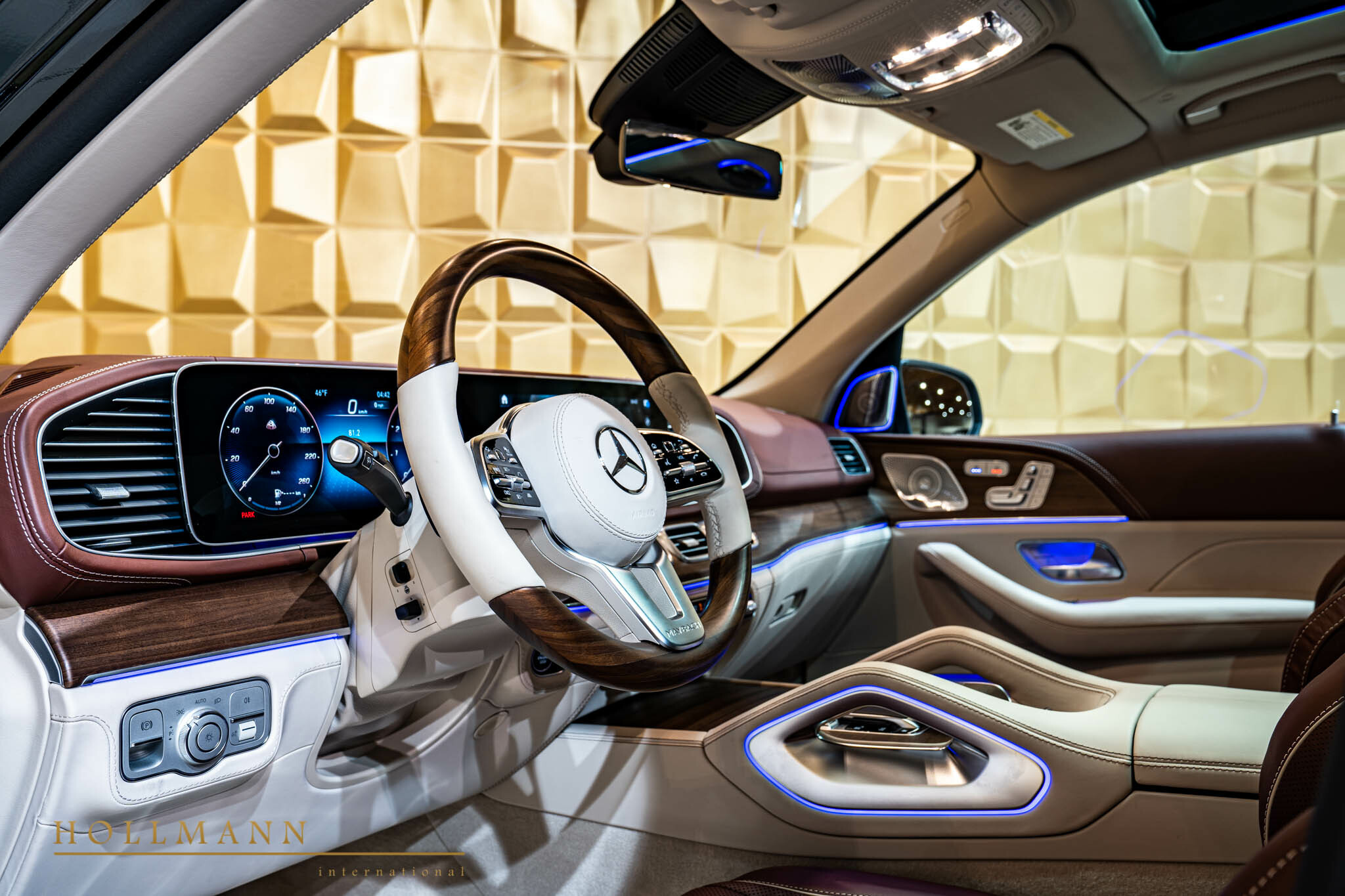 2021 Mercedes-Maybach GLS 600, 3/20