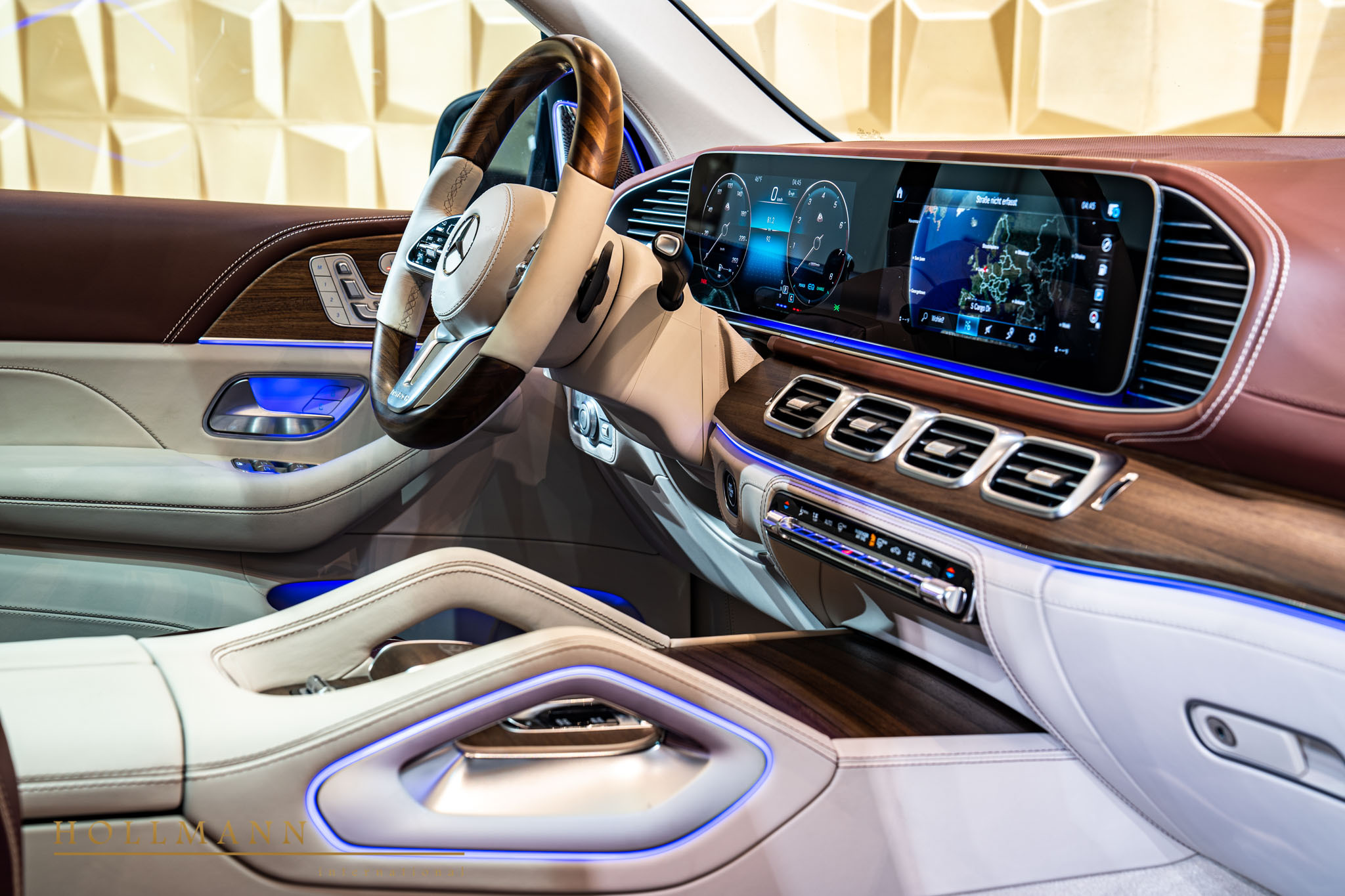 2021 Mercedes-Maybach GLS 600, 13/20