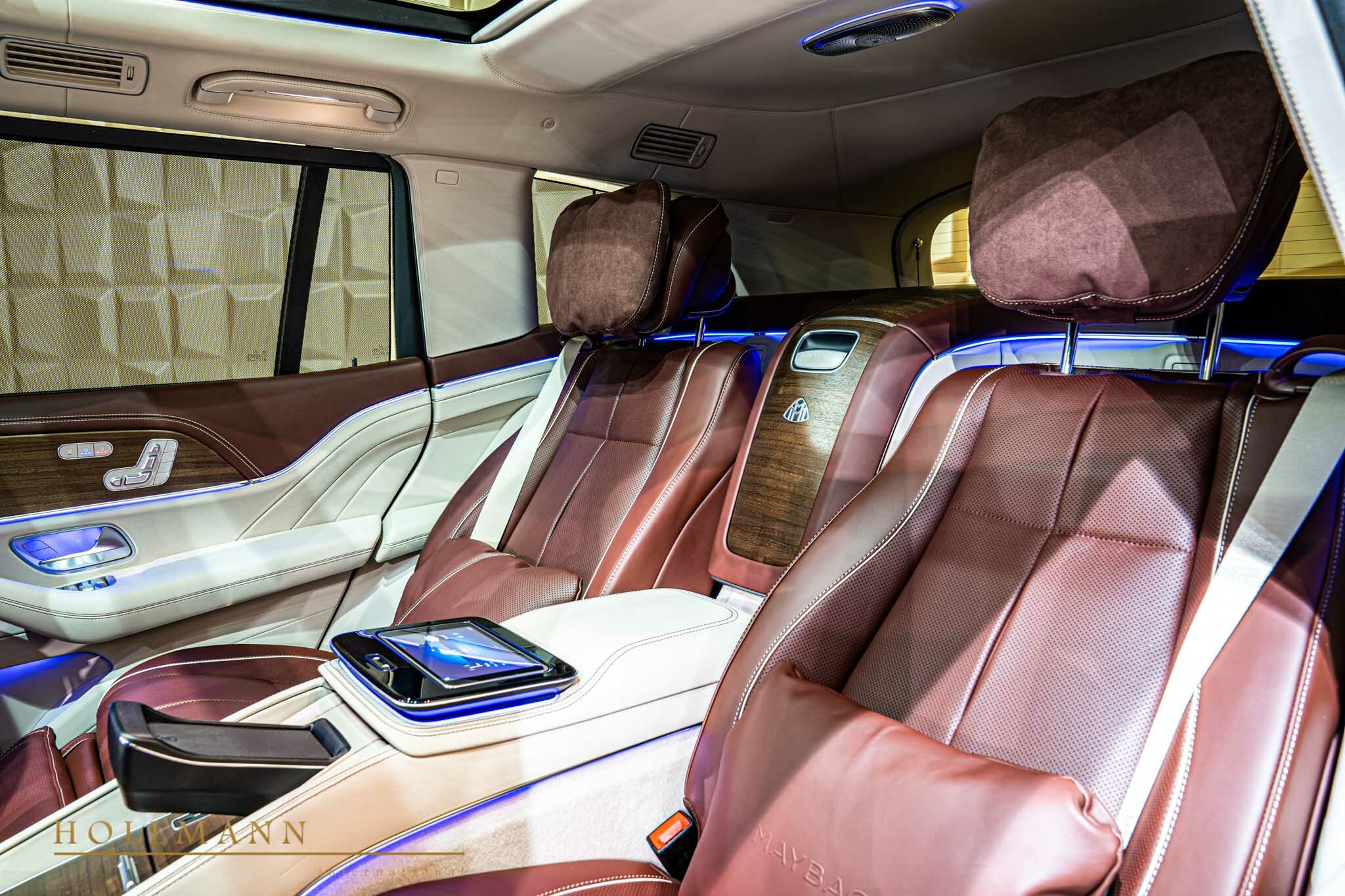2021 Mercedes-Maybach GLS 600, 19/20
