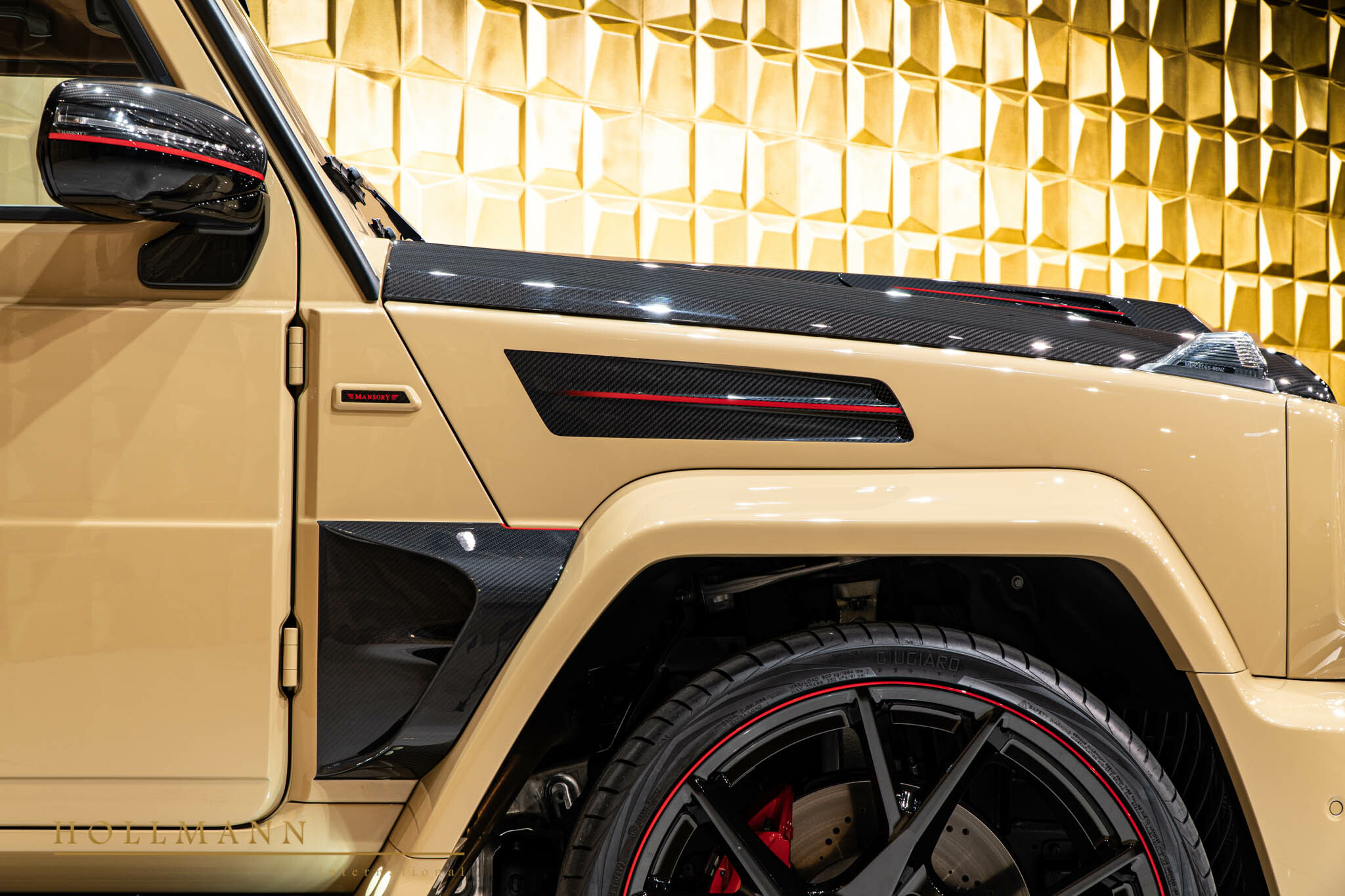 2021 Mansory G-Class, 18/20