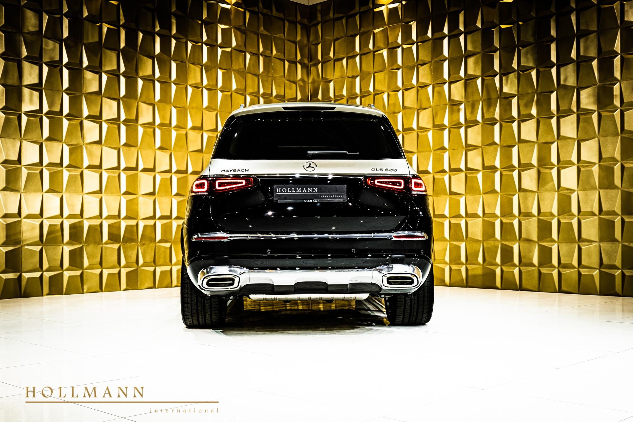 2021 Mercedes-Maybach GLS 600, 22/32