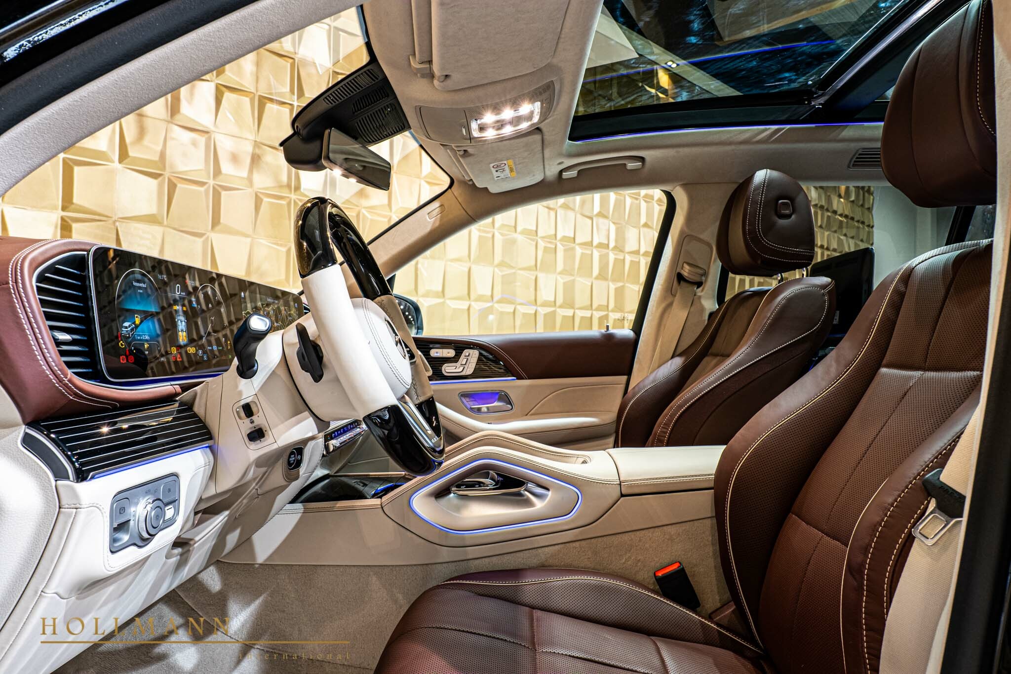 2021 Mercedes-Maybach GLS 600, 8/32