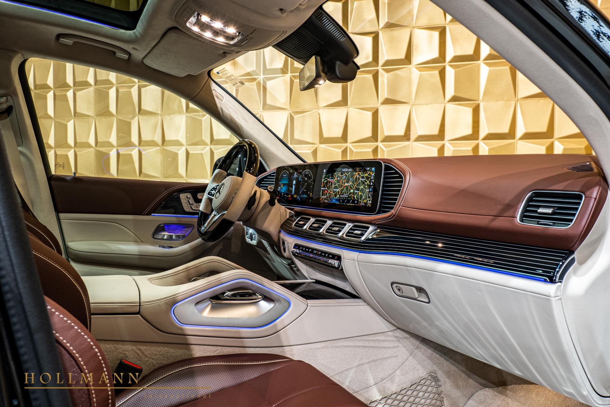2021 Mercedes-Maybach GLS 600, 10/32