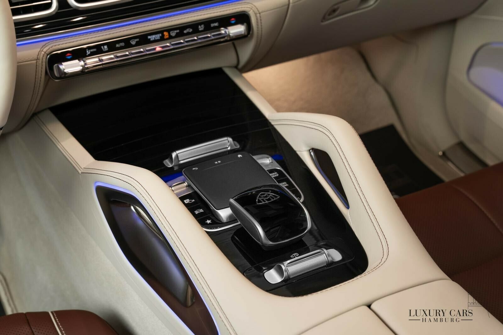 2021 Mercedes-Maybach GLS 600, 18/20
