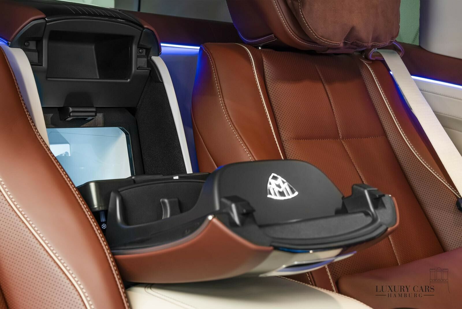 2021 Mercedes-Maybach GLS 600, 19/20