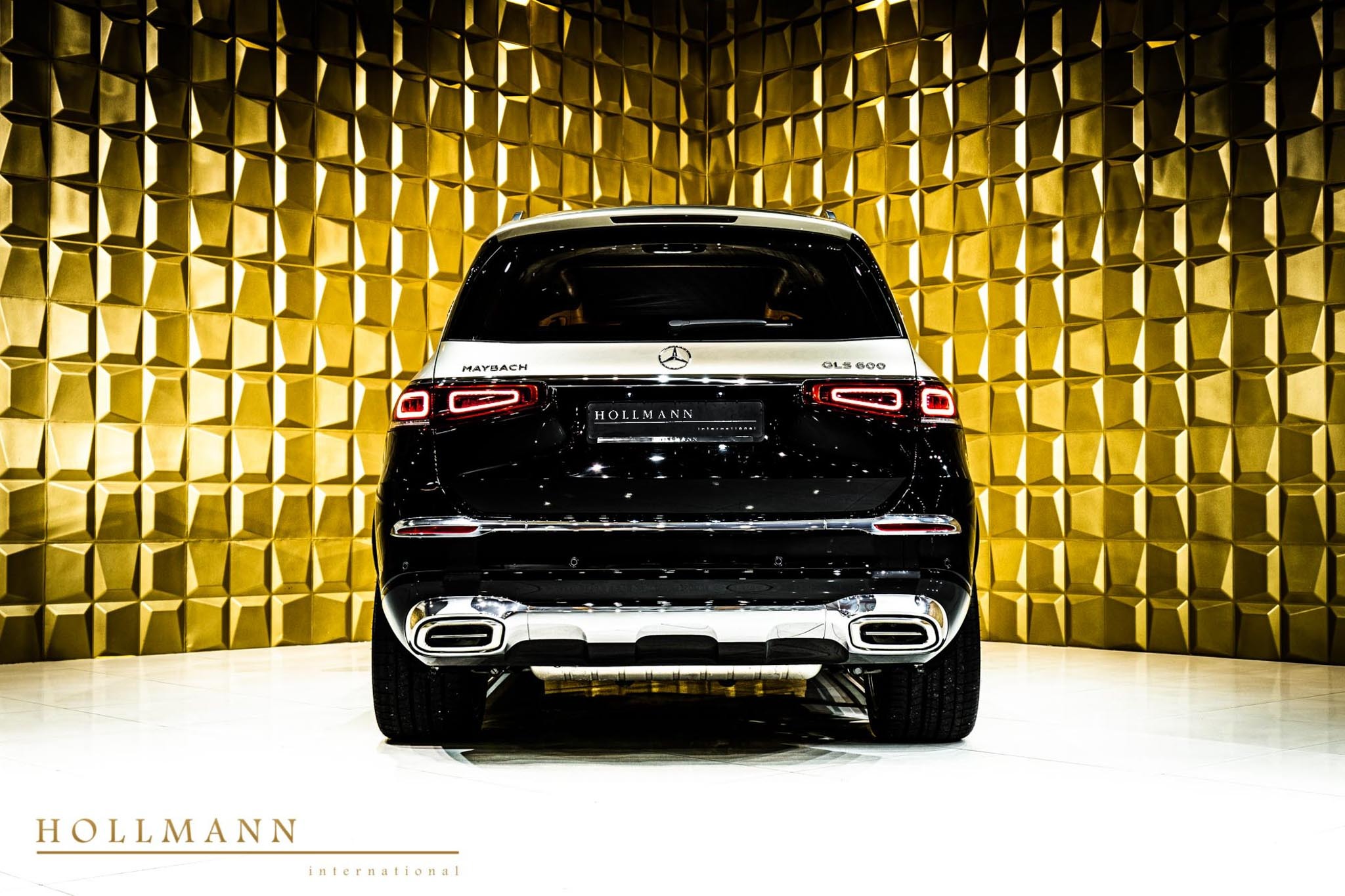 2021 Mercedes-Maybach GLS 600, 6/20