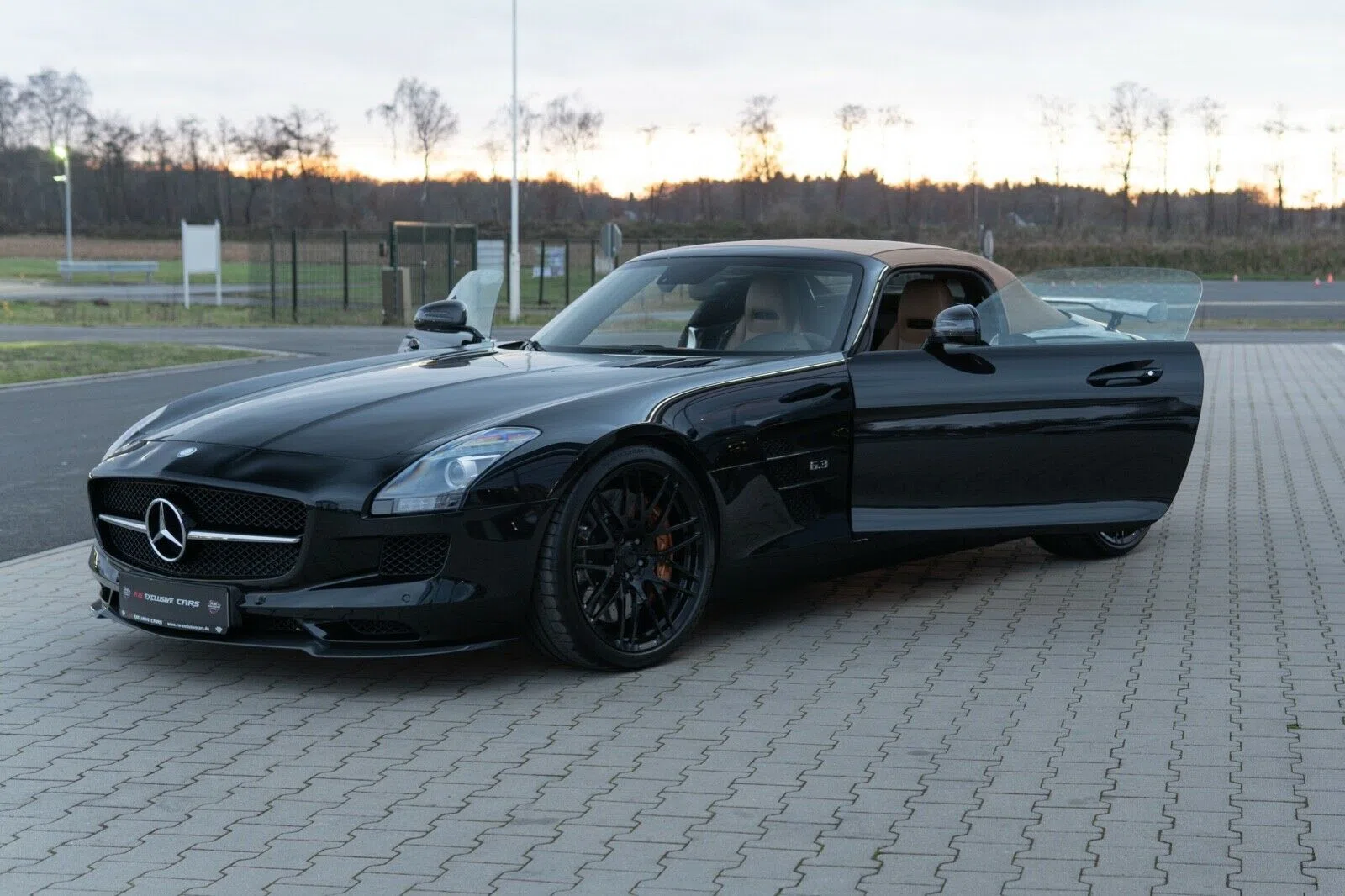 2012 Mercedes-Benz SLS AMG Roadster