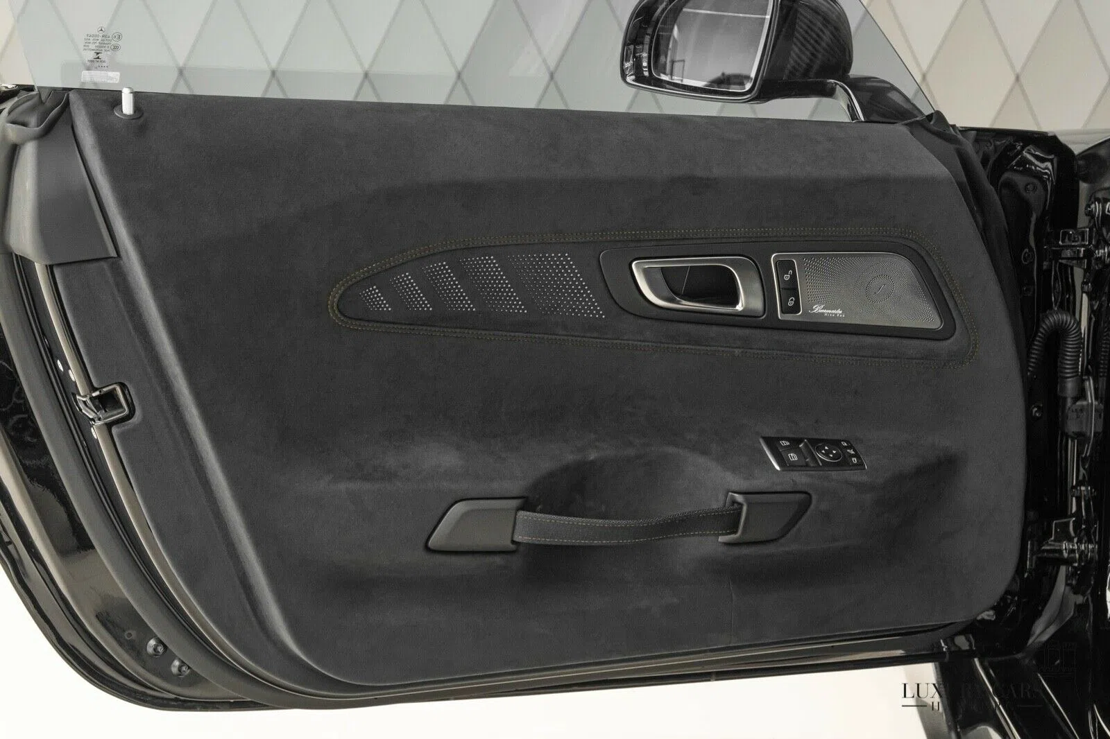 2021 Mercedes-Benz AMG GT BLACK SERIES interior, door panel, Black Leather