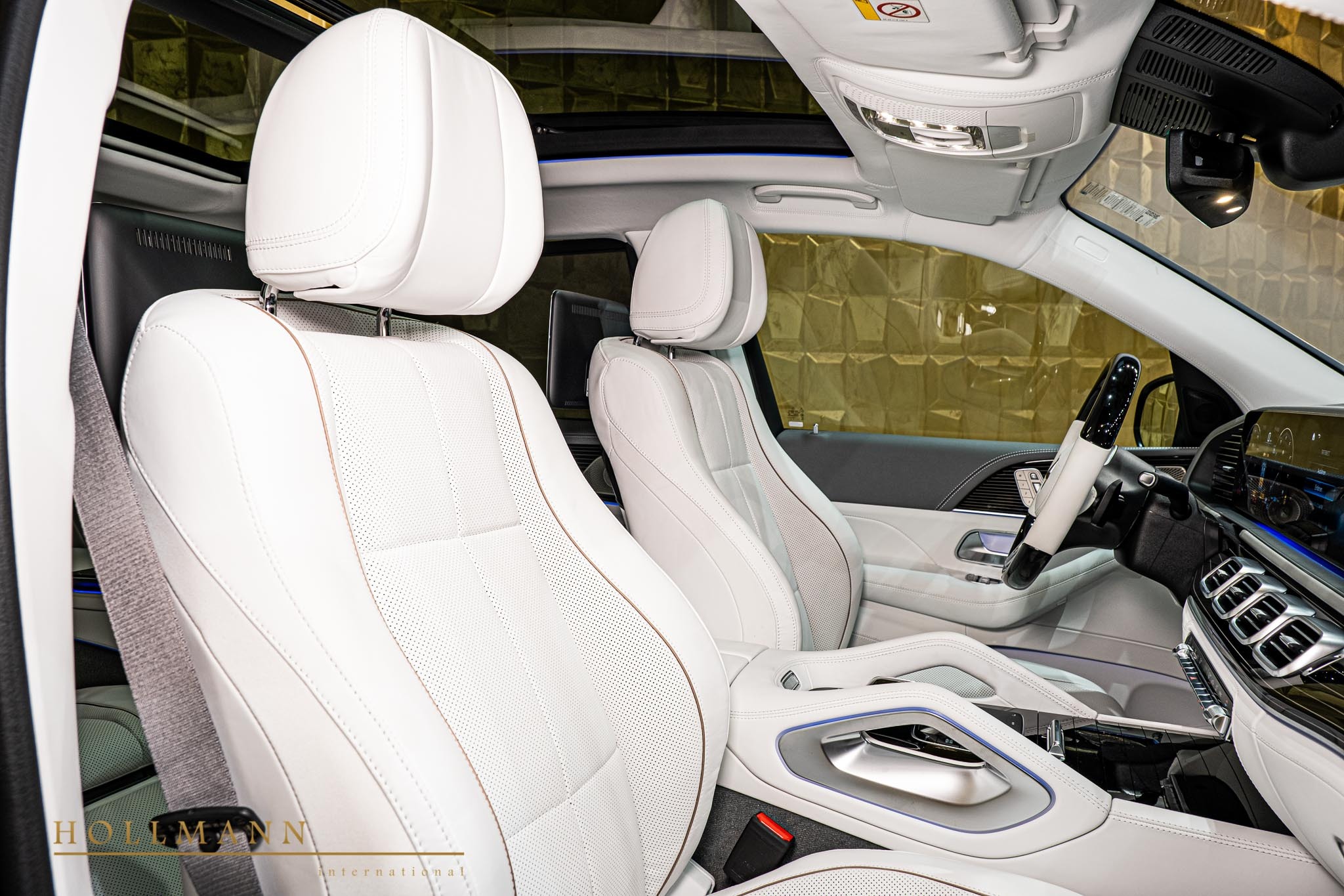 2022 Mercedes-Maybach GLS600, 11/29