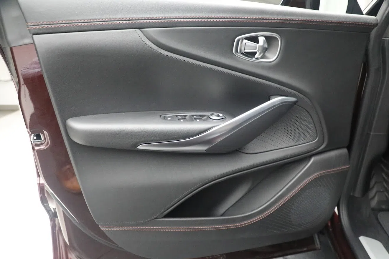 2021 Aston Martin DBX interior, door panel, Obsidian Black Leather