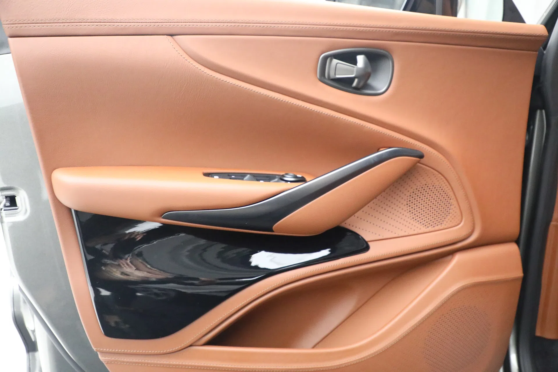 2021 Aston Martin DBX interior, door panel, CHESTNUT TAN