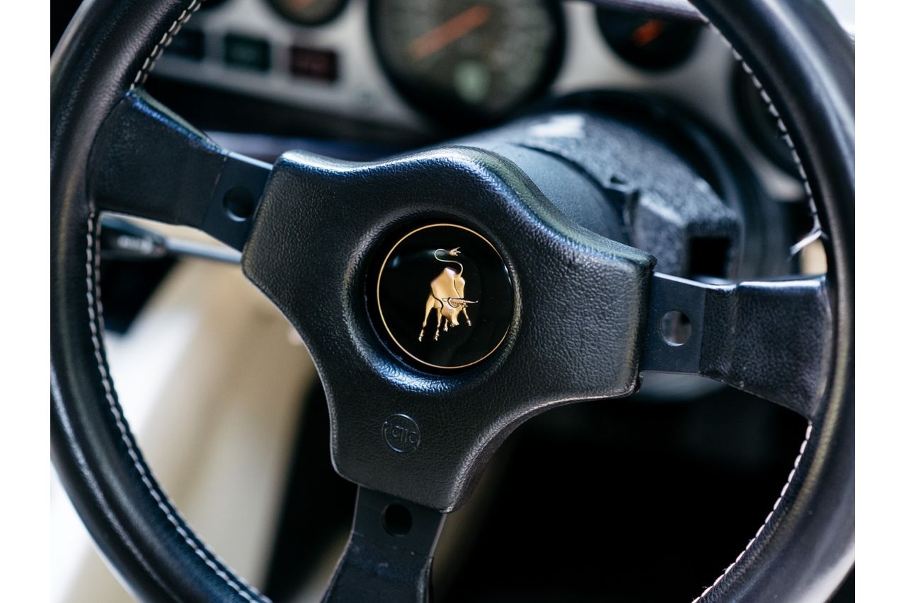 1983 Lamborghini Countach LP 5000 S, 13/19