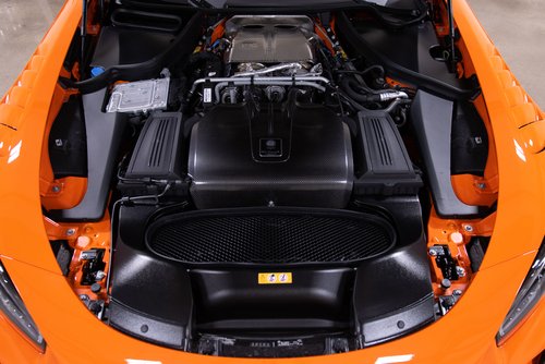 2021 Mercedes-Benz AMG GT Black Series, 13/19