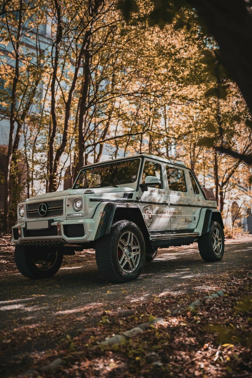 2018 Mercedes-Maybach G650 Landaulet, 3/20