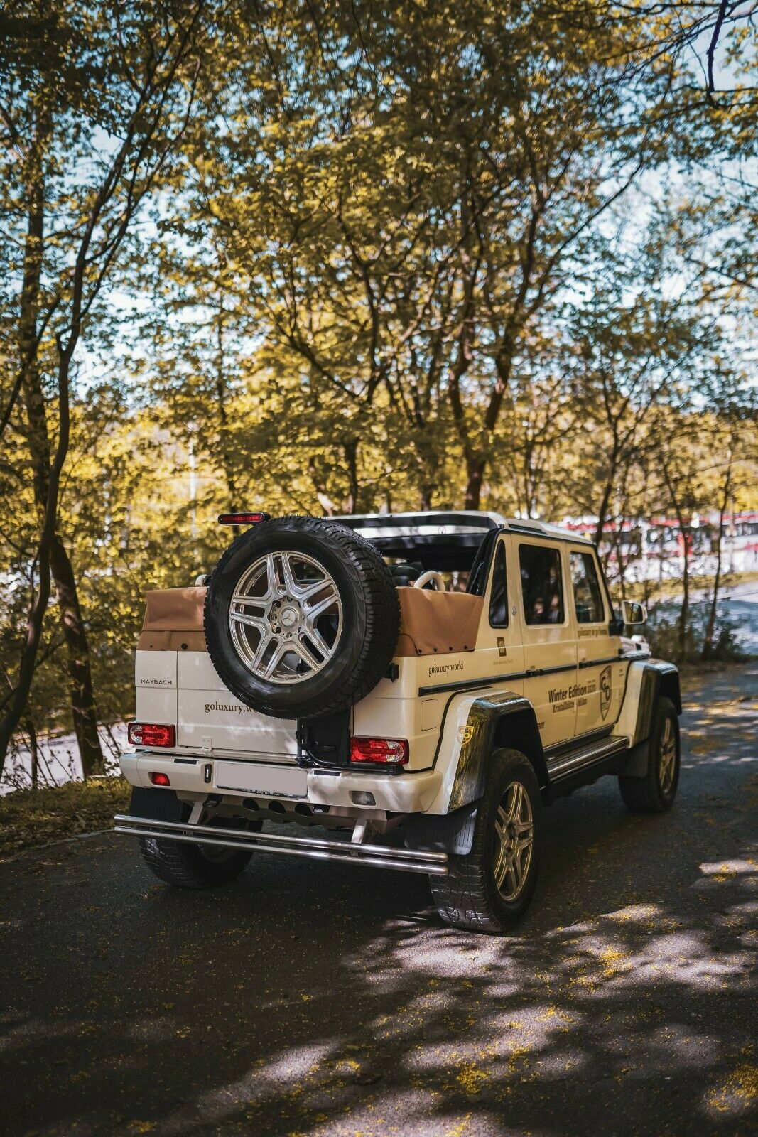 2018 Mercedes-Maybach G650 Landaulet, 15/20