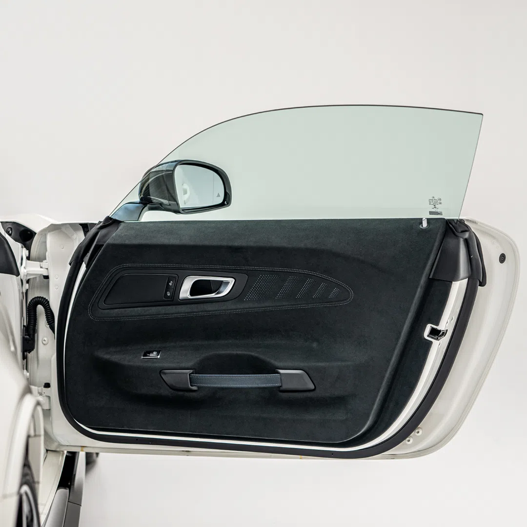2021 Mercedes Benz AMG GT Black Series interior, door panel