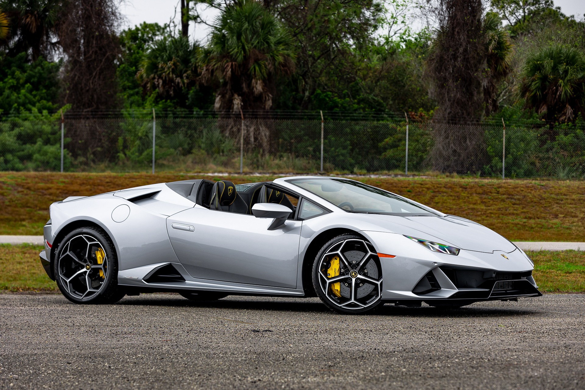 2020 Lamborghini Huracan LP 640-4 EVO Spyder, 11/20