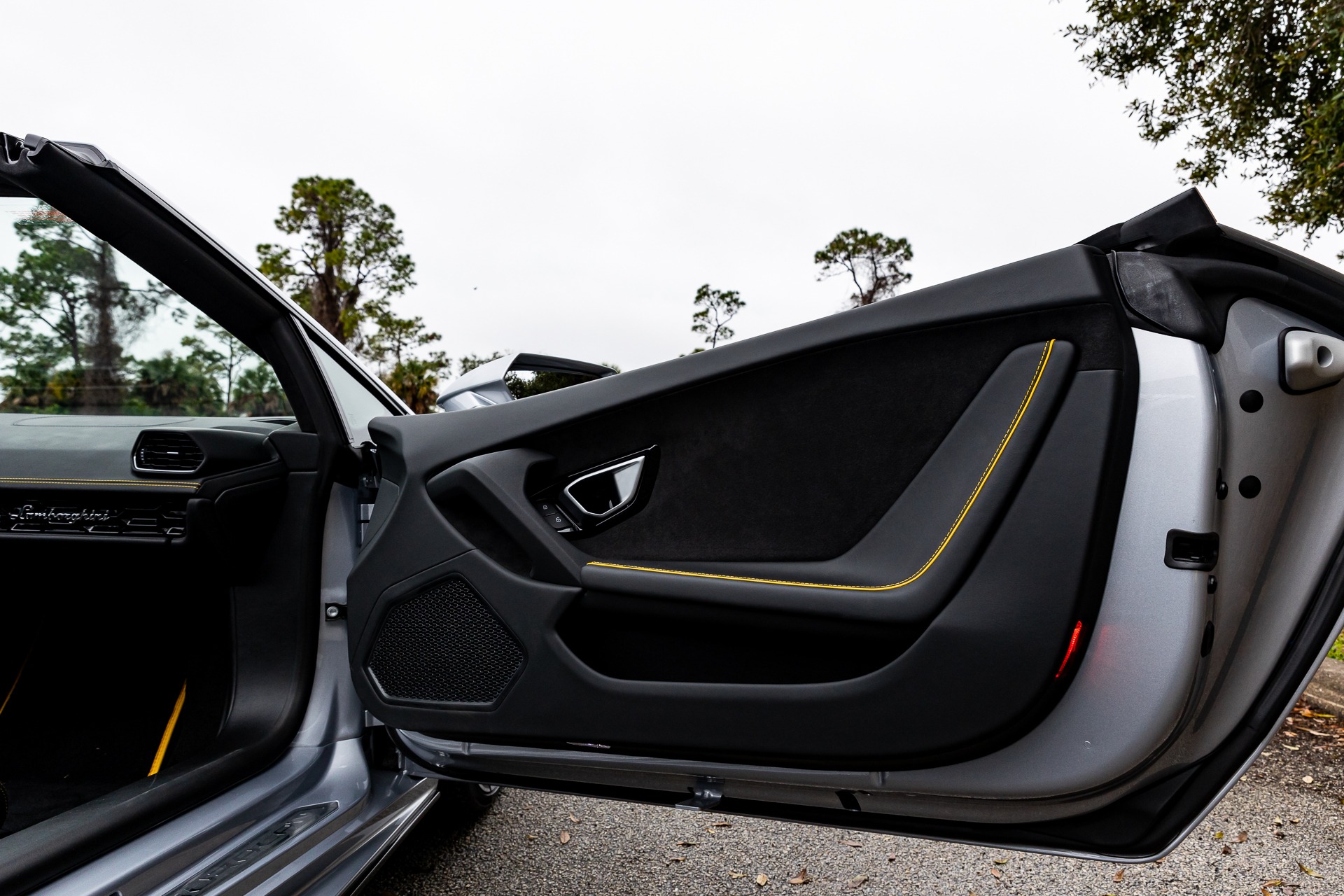 2020 Lamborghini Huracan LP 640-4 EVO Spyder, 19/20