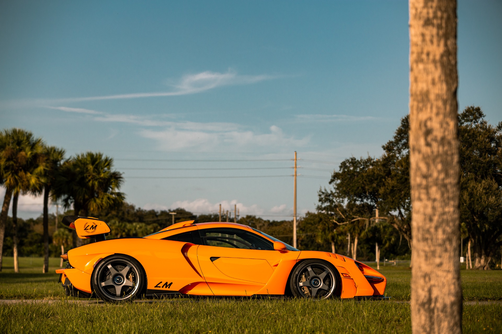 2019 McLaren Senna, 5/19