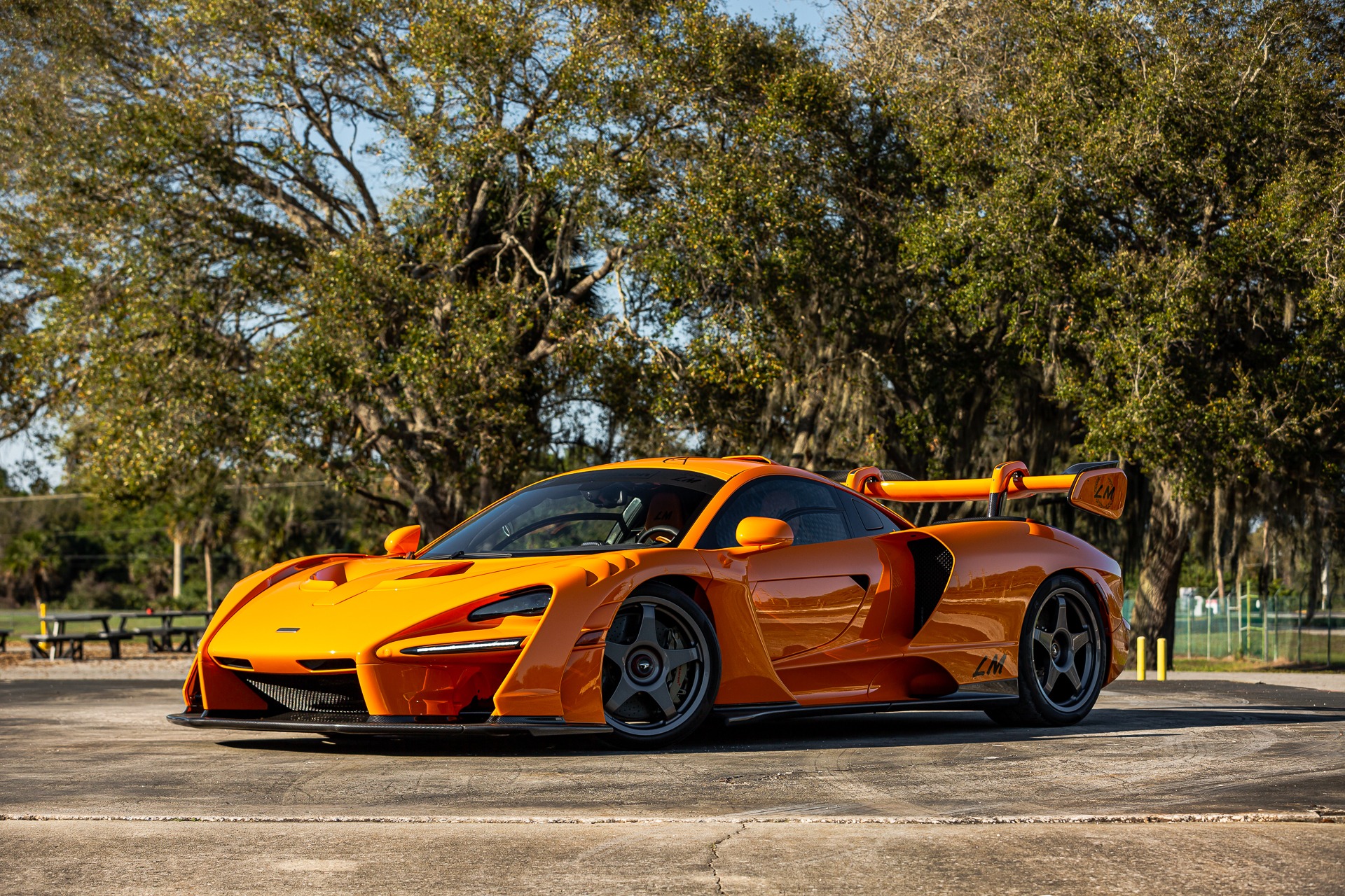 2019 McLaren Senna, 18/19