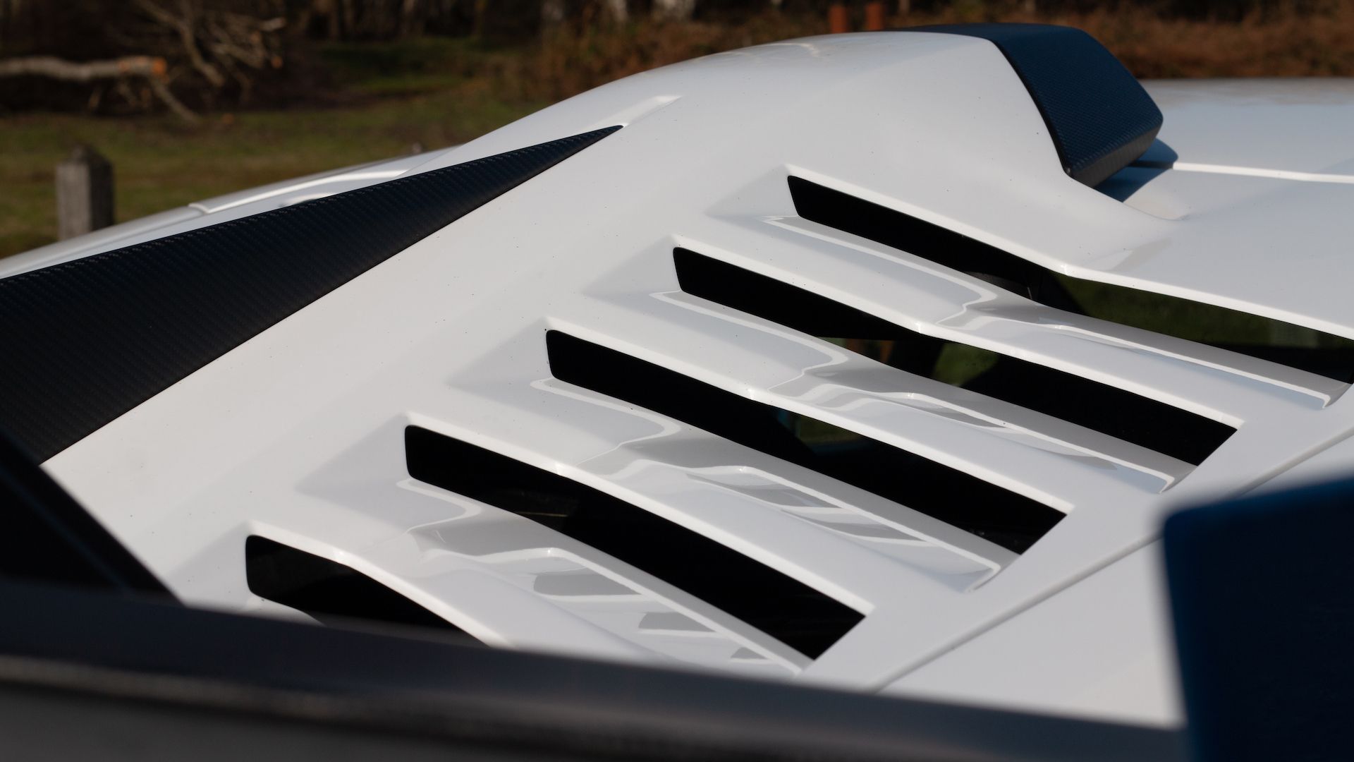 2021 LAMBORGHINI HURACN STO, 13/19