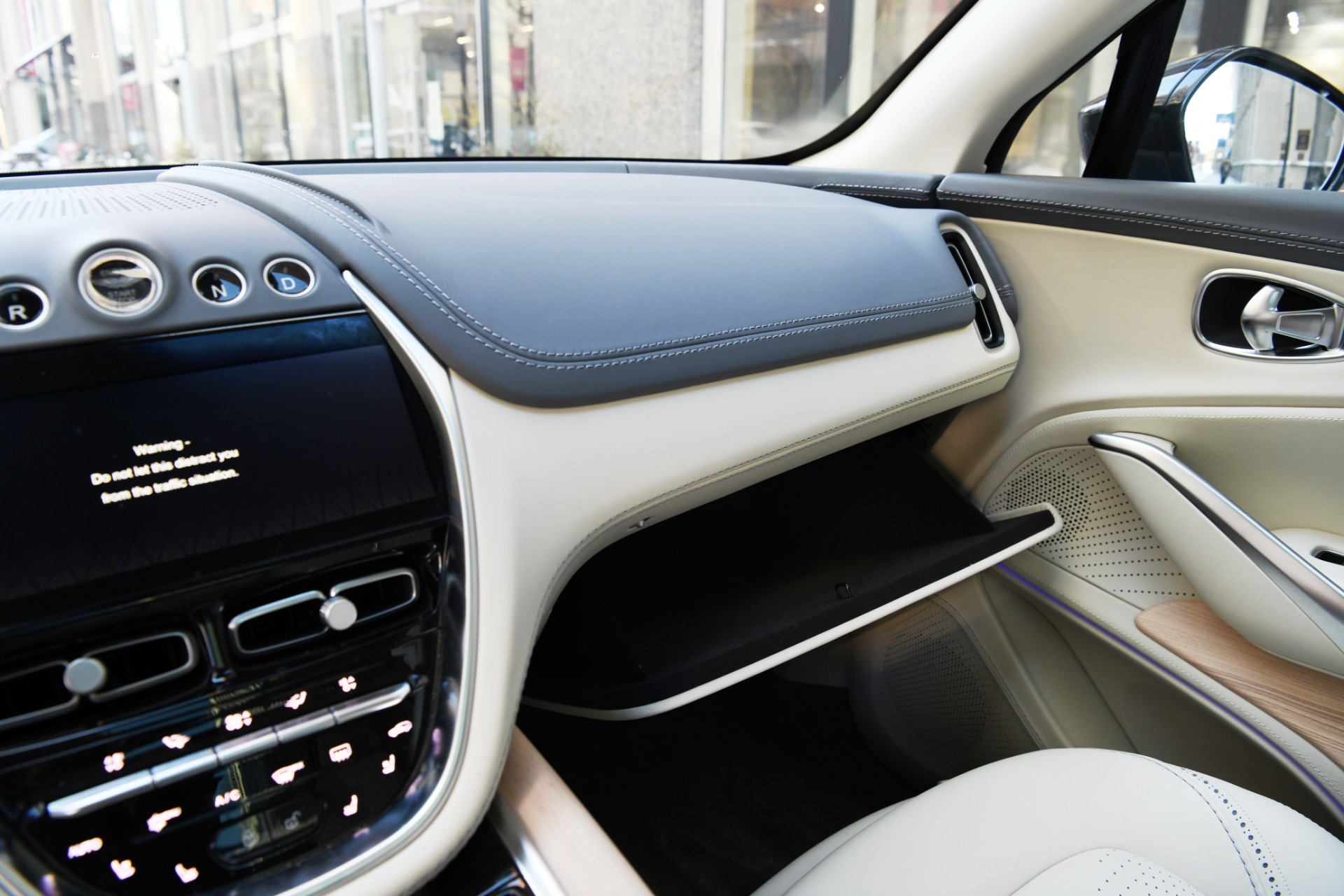 2021 ASTON MARTIN DBX, 14/20