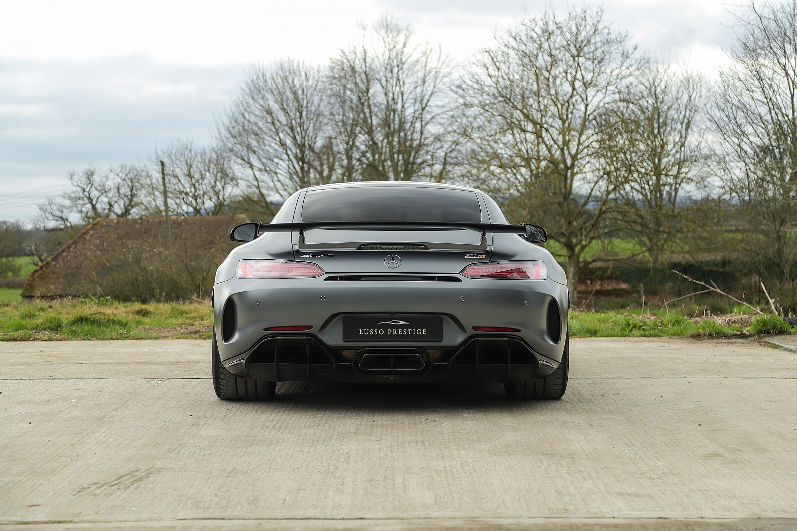 2018 Mercedes-AMG GT R, 4/20