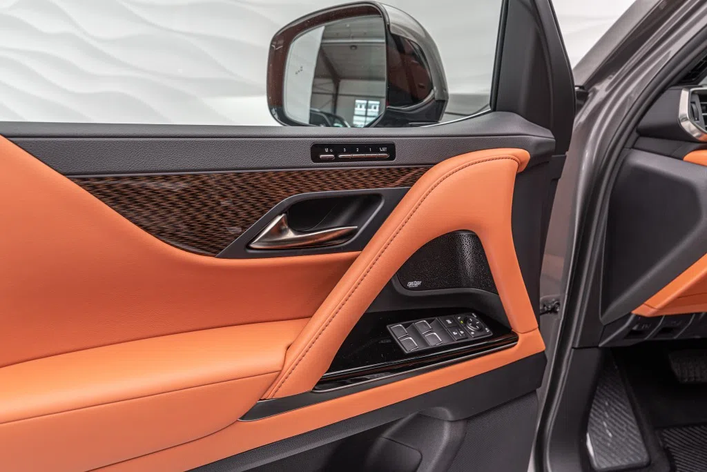 2022 Lexus LX 600 Ultra Luxury interior, door panel