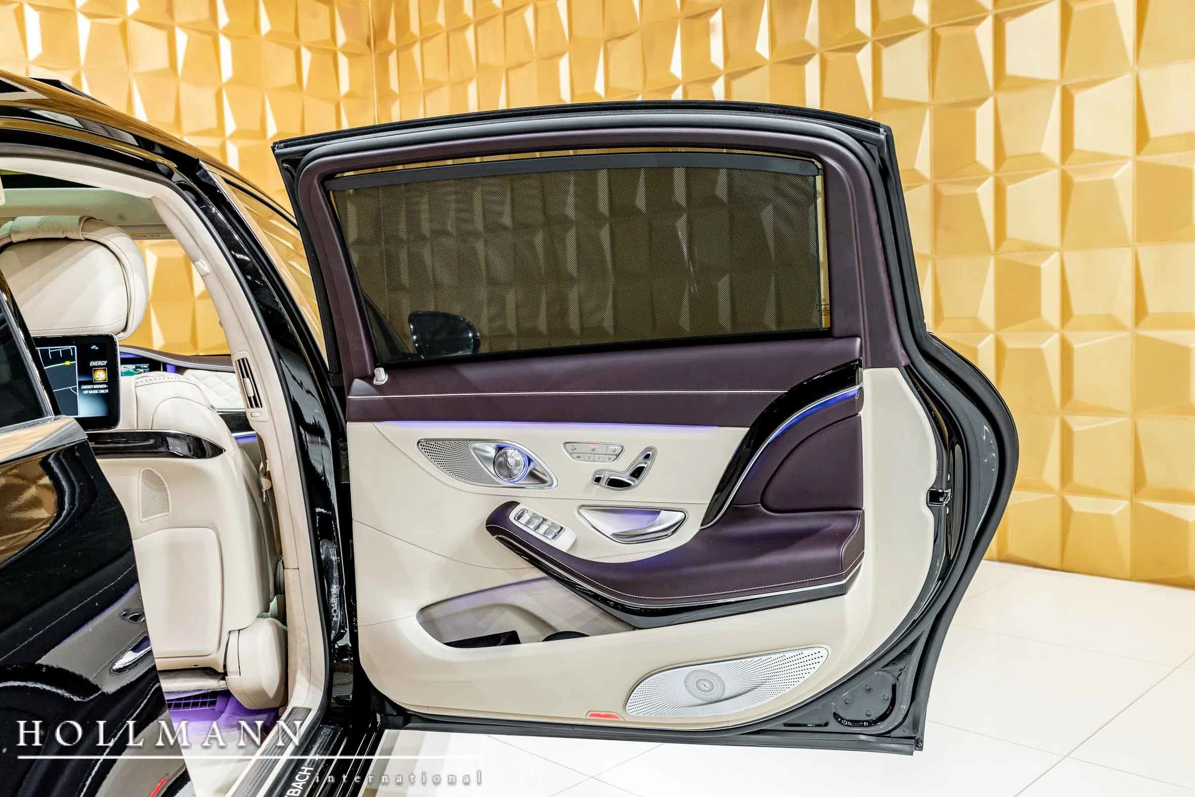 2018 Mercedes-Maybach S 560 4M interior, door panel