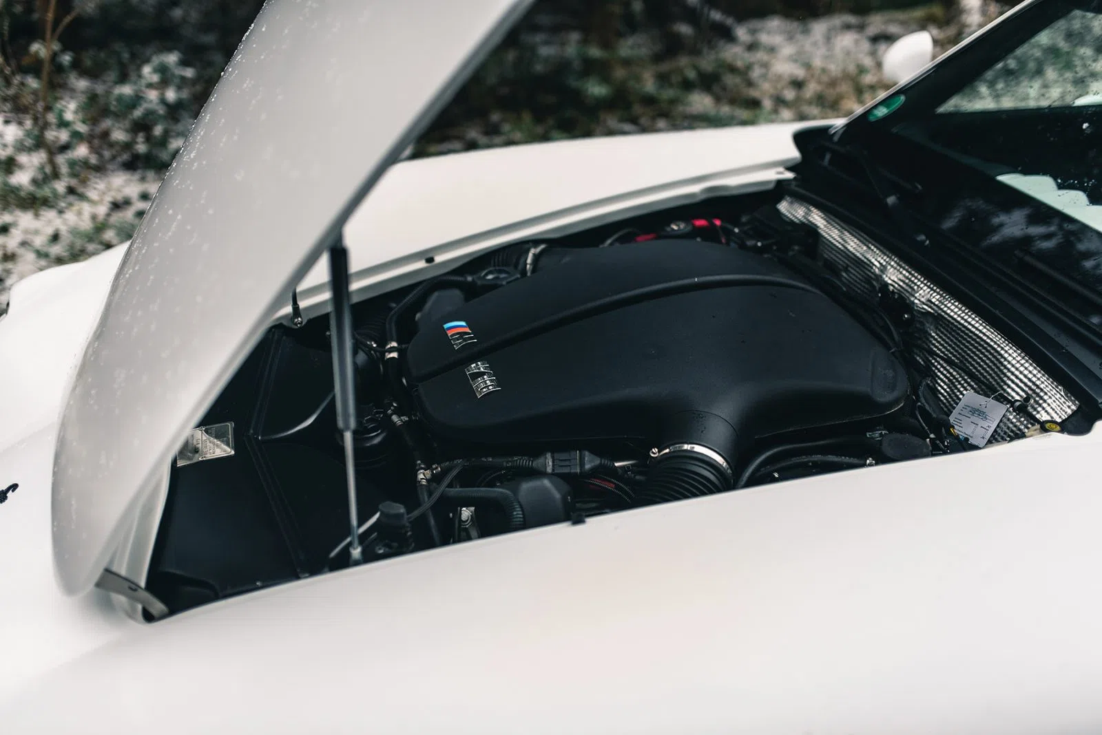 2010 Wiesmann MF5 GT V10 engine