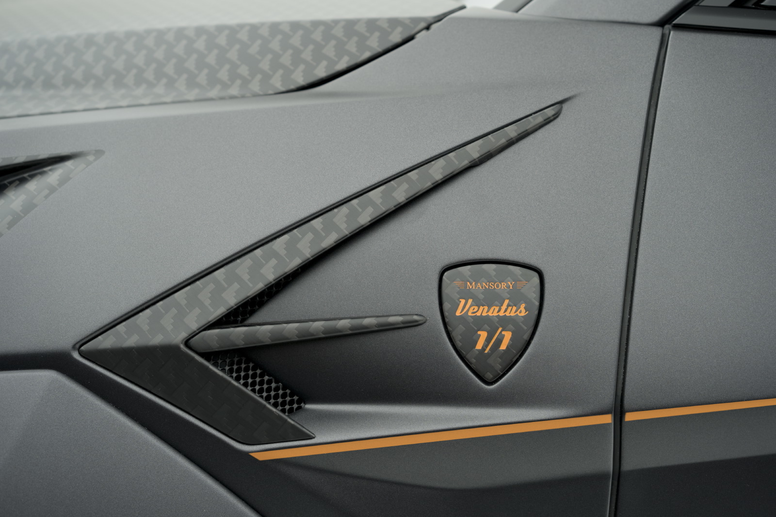 2019 Mansory Urus Venatus, 11/12