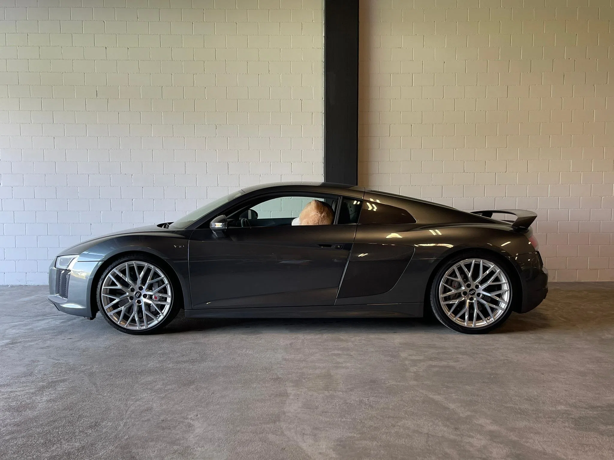 2016 AUDI R8 Coupé 5.2 plus S-Tronic, side profile