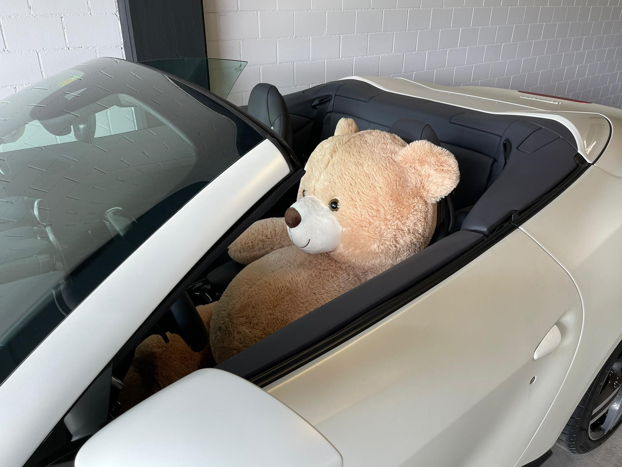2019 FERRARI Portofino, 2/11