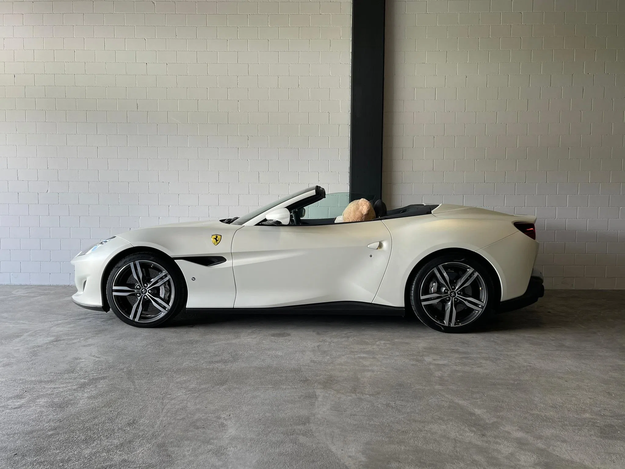 2019 FERRARI Portofino, side profile