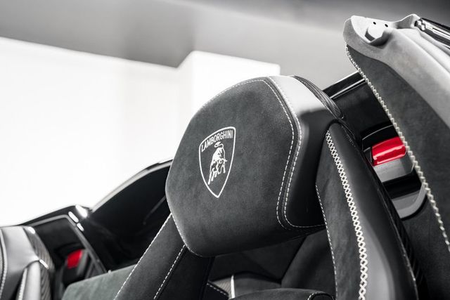 2020 Lamborghini Aventador SVJ Roadster, 15/19