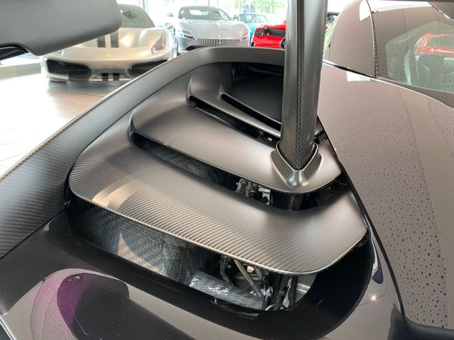 2018 McLaren Senna, 10/19