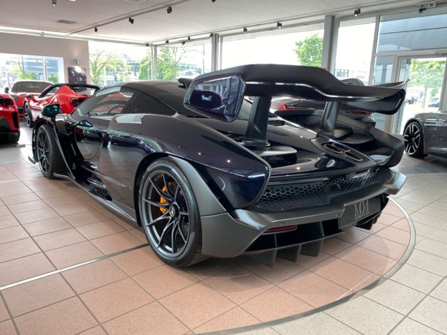 2018 McLaren Senna, 16/19