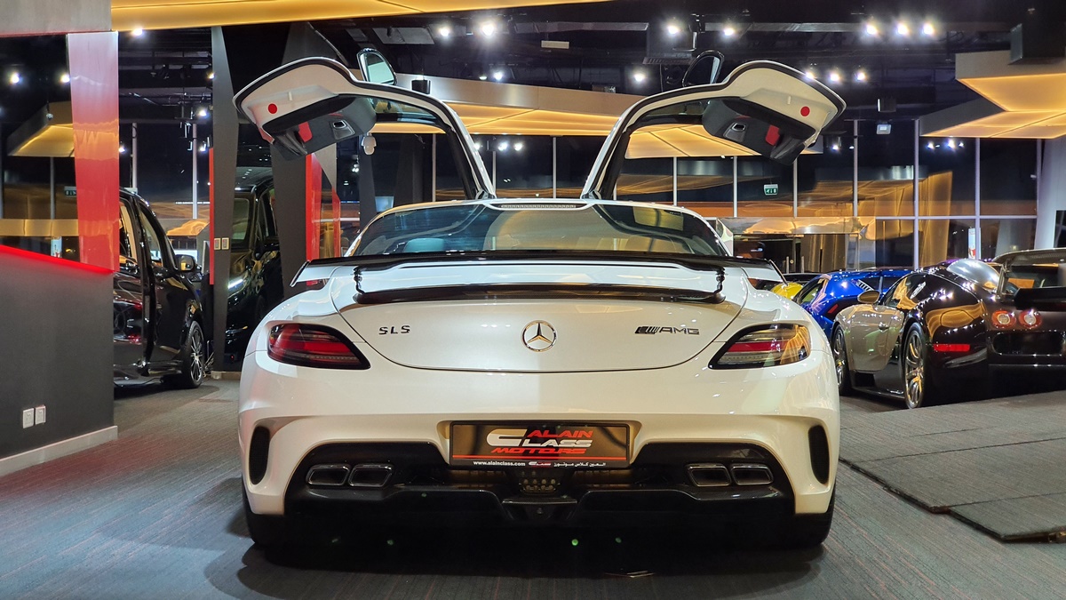 2014 Mercedes-Benz SLS AMG Black Series, 13/20