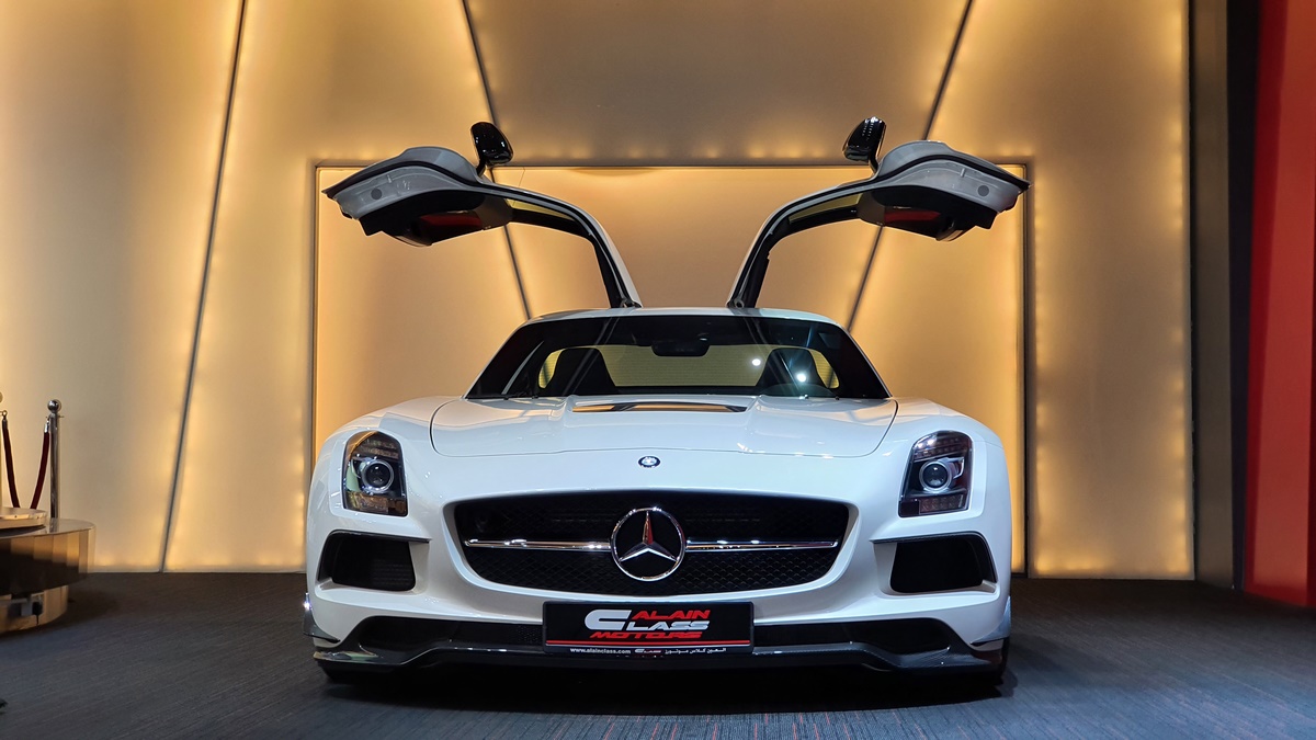 2014 Mercedes-Benz SLS AMG Black Series, 19/20