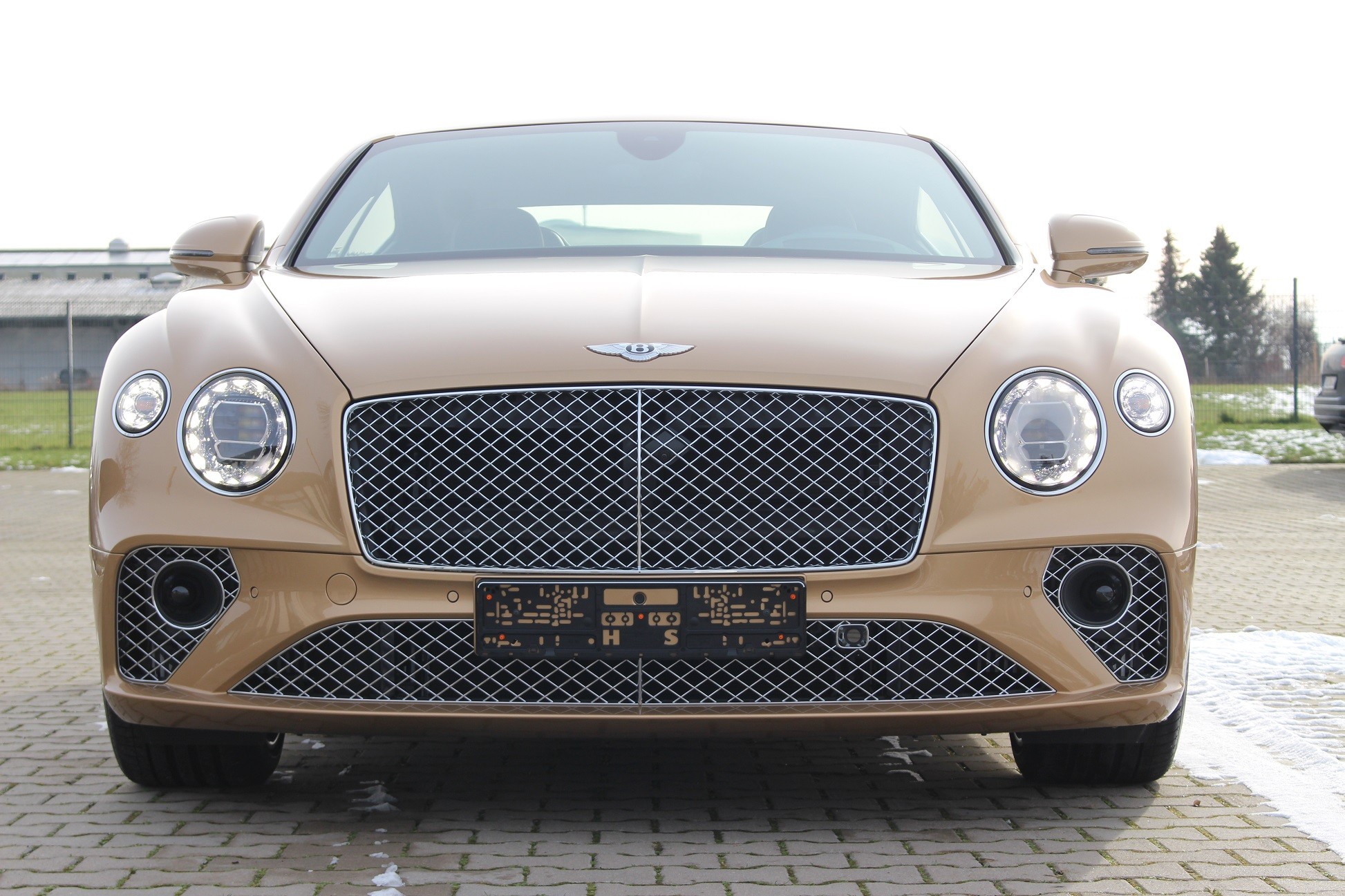 2019 Bentley Continental GT Mulliner 22, 15/20