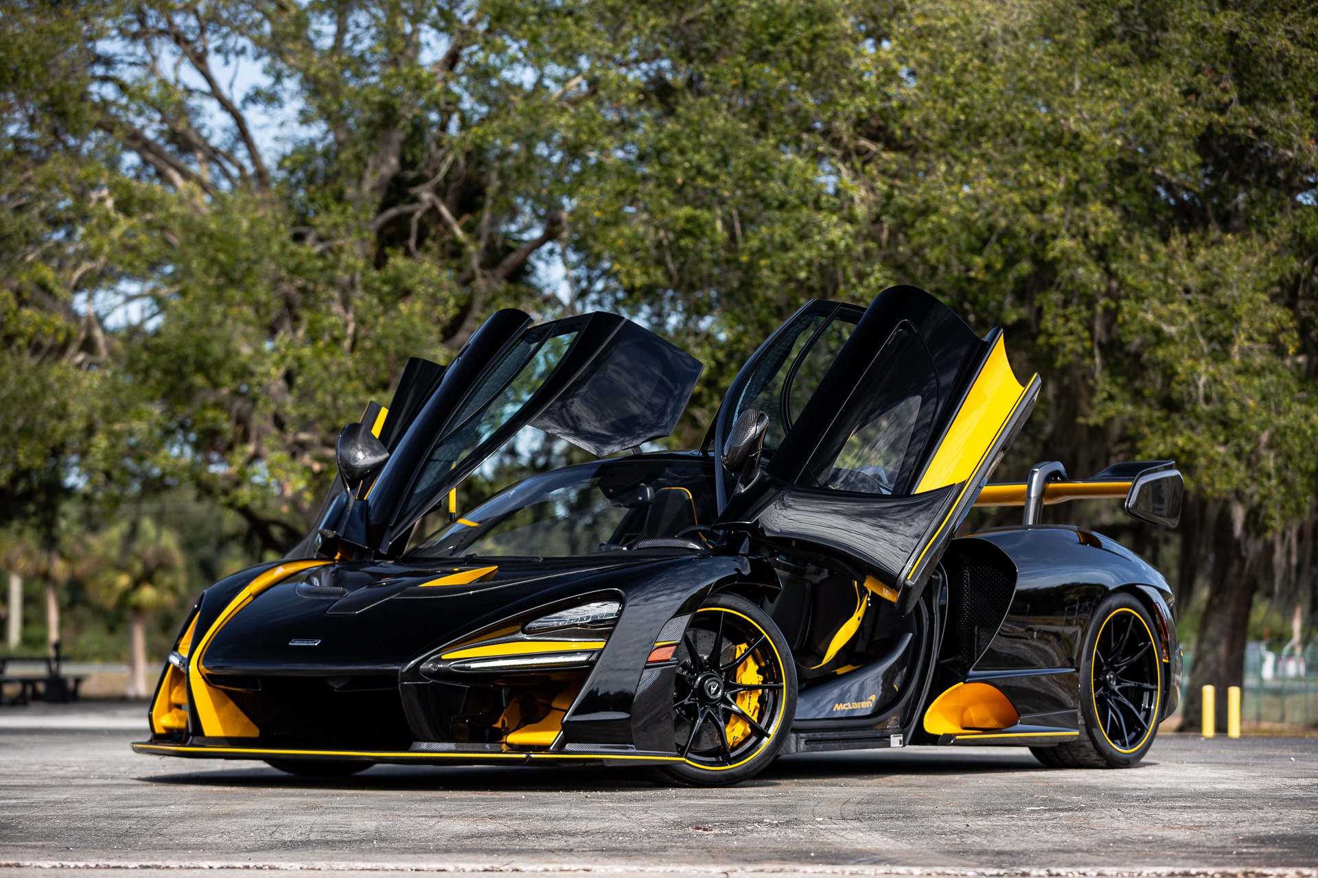 2019 McLaren Senna, 16/27