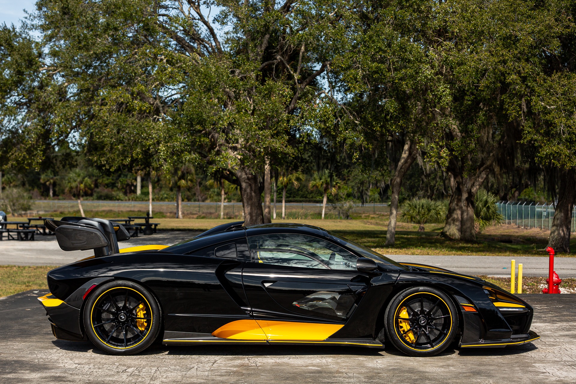 2019 McLaren Senna, 20/27