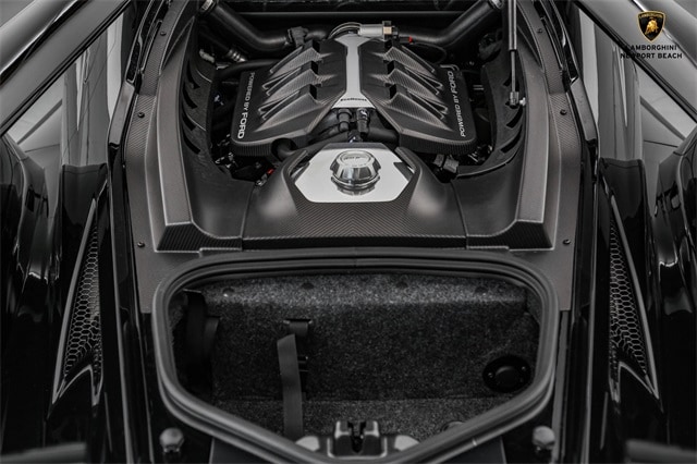 2019 Ford GT Carbon Series, 13/20