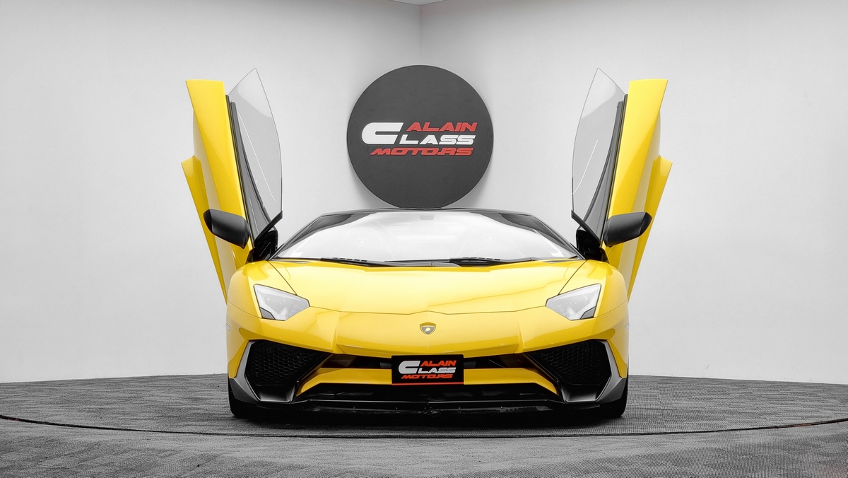 2016 Lamborghini Aventador SV Roadster – 1 of 500, 11/19