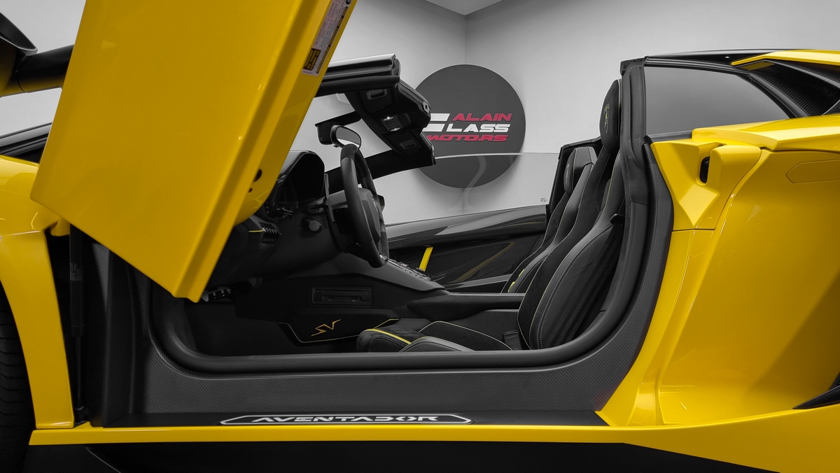2016 Lamborghini Aventador SV Roadster – 1 of 500, 18/19