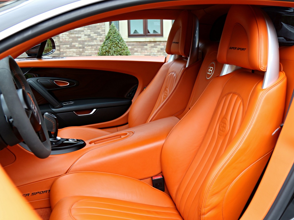 2011 Bugatti Veyron Super Sport Sang Noir, 18/20