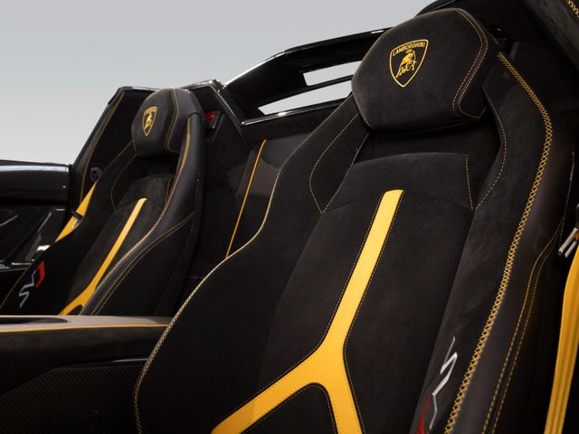 2020 Lamborghini Aventador SVJ Roadster, 8/15