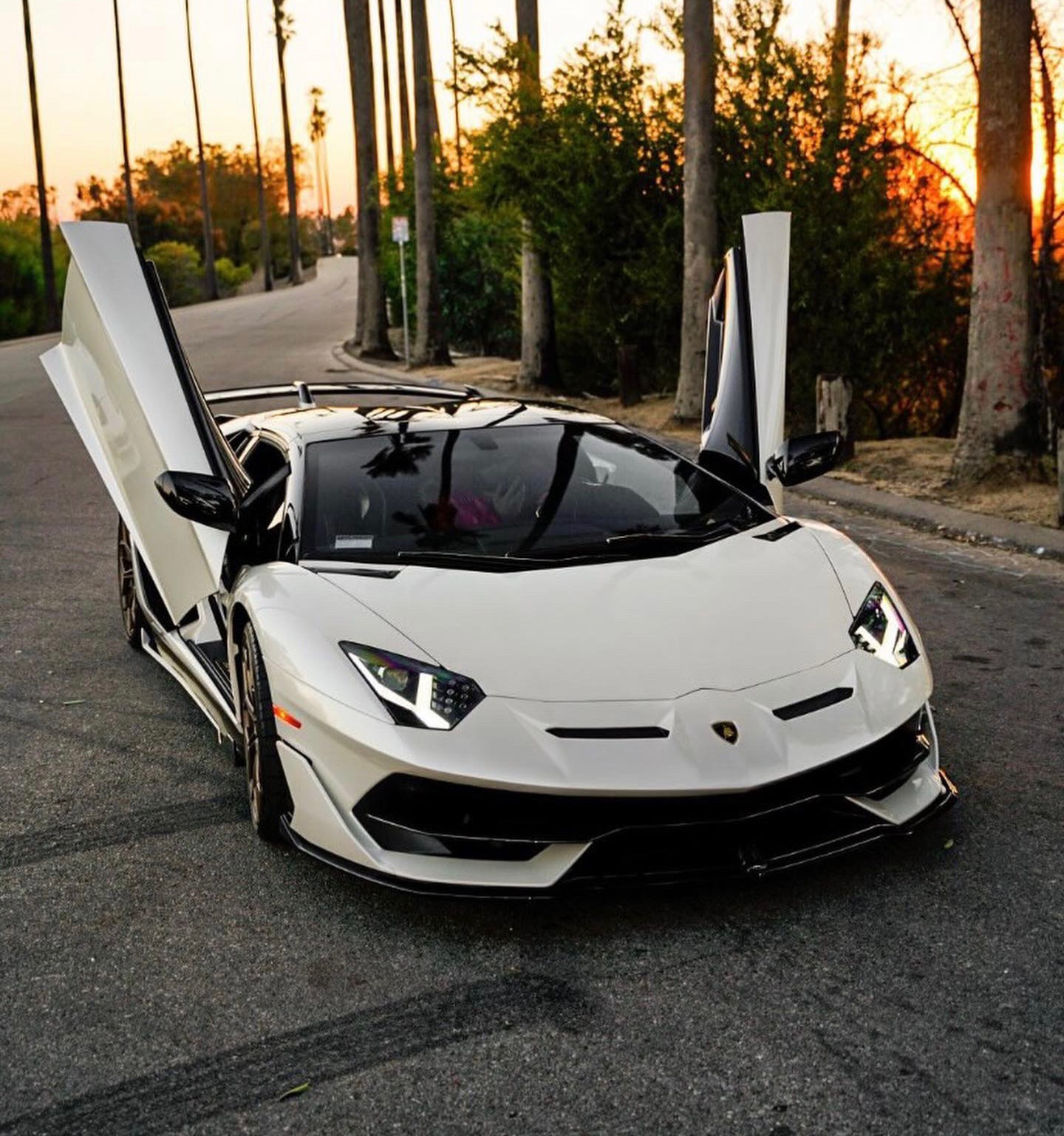2020 Lamborghini Aventador SVJ Roadster, 2/14